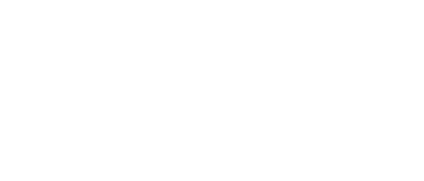 Tiny Lion